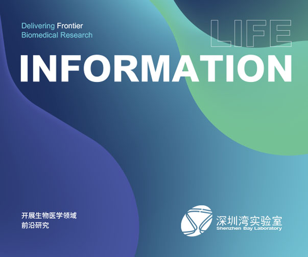 上海logo設(shè)計師分享90年代經(jīng)典標(biāo)志設(shè)計案例與時代美學(xué)解析